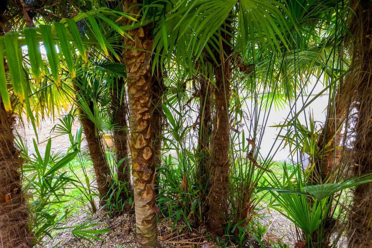 Le Cordon Bleu # Vieux-Cognac # Jardin Appartamento Esterno foto